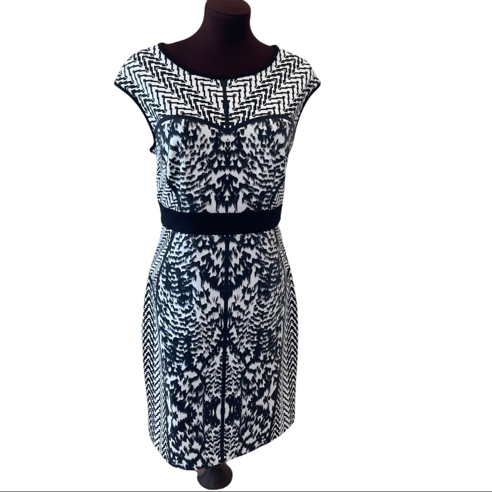 Laundry by shelli Segal black & white knee length